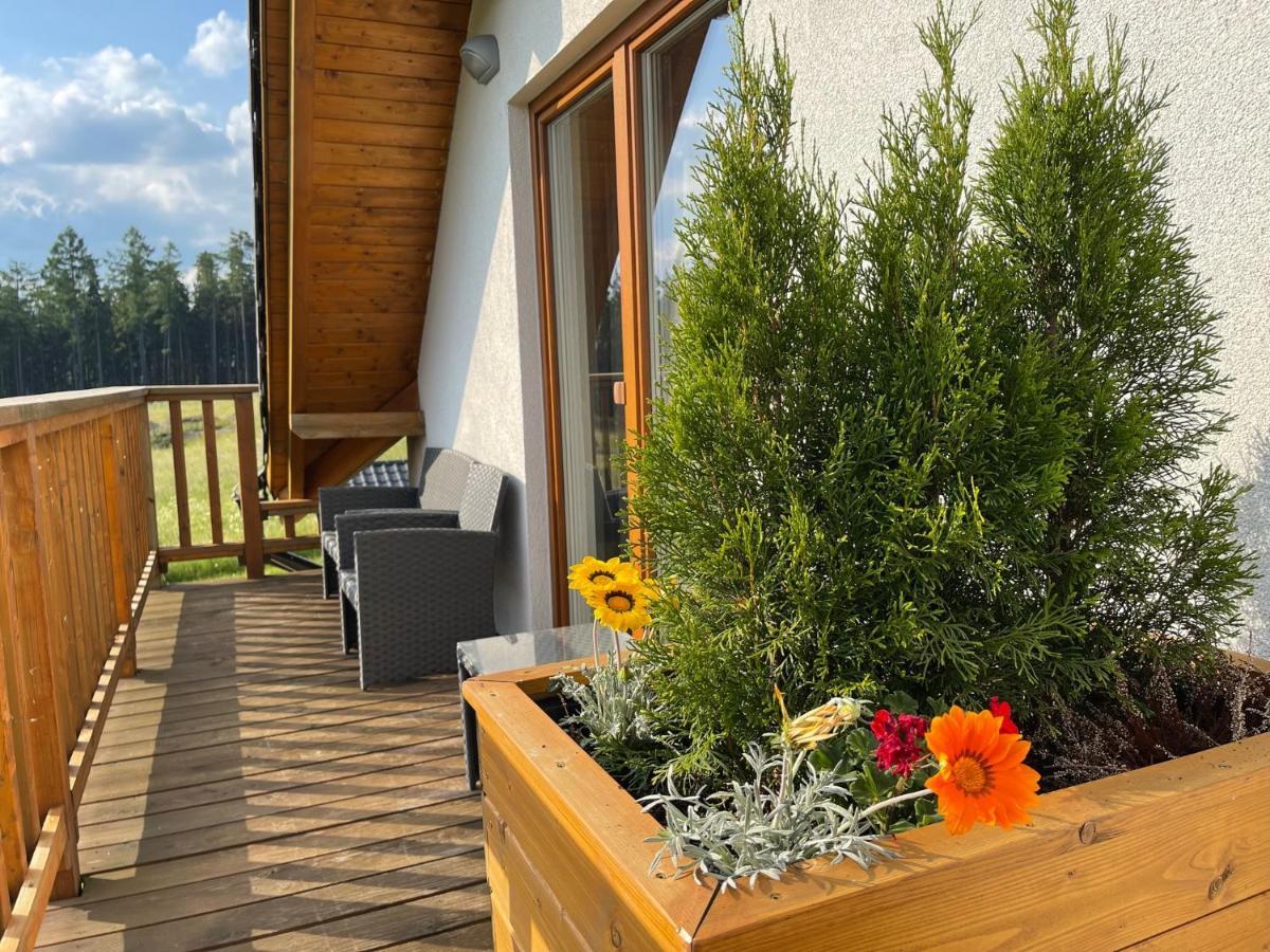 Apartmany Max Vaclavov u Bruntalu Εξωτερικό φωτογραφία